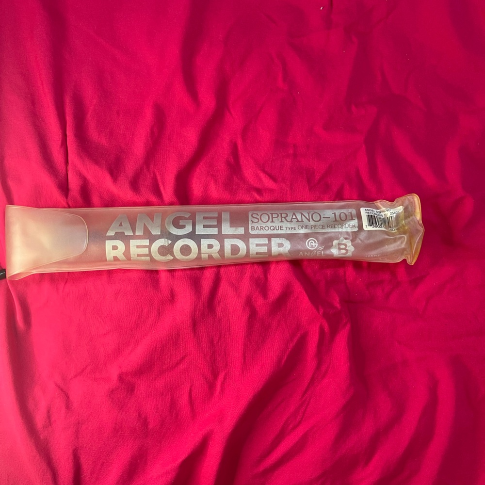 Recorder and cleaning rod. Used yet very clean and well kept. No case.